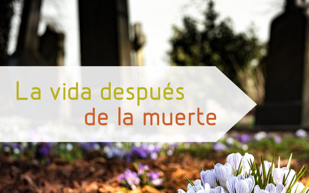 La vida después de la muerte