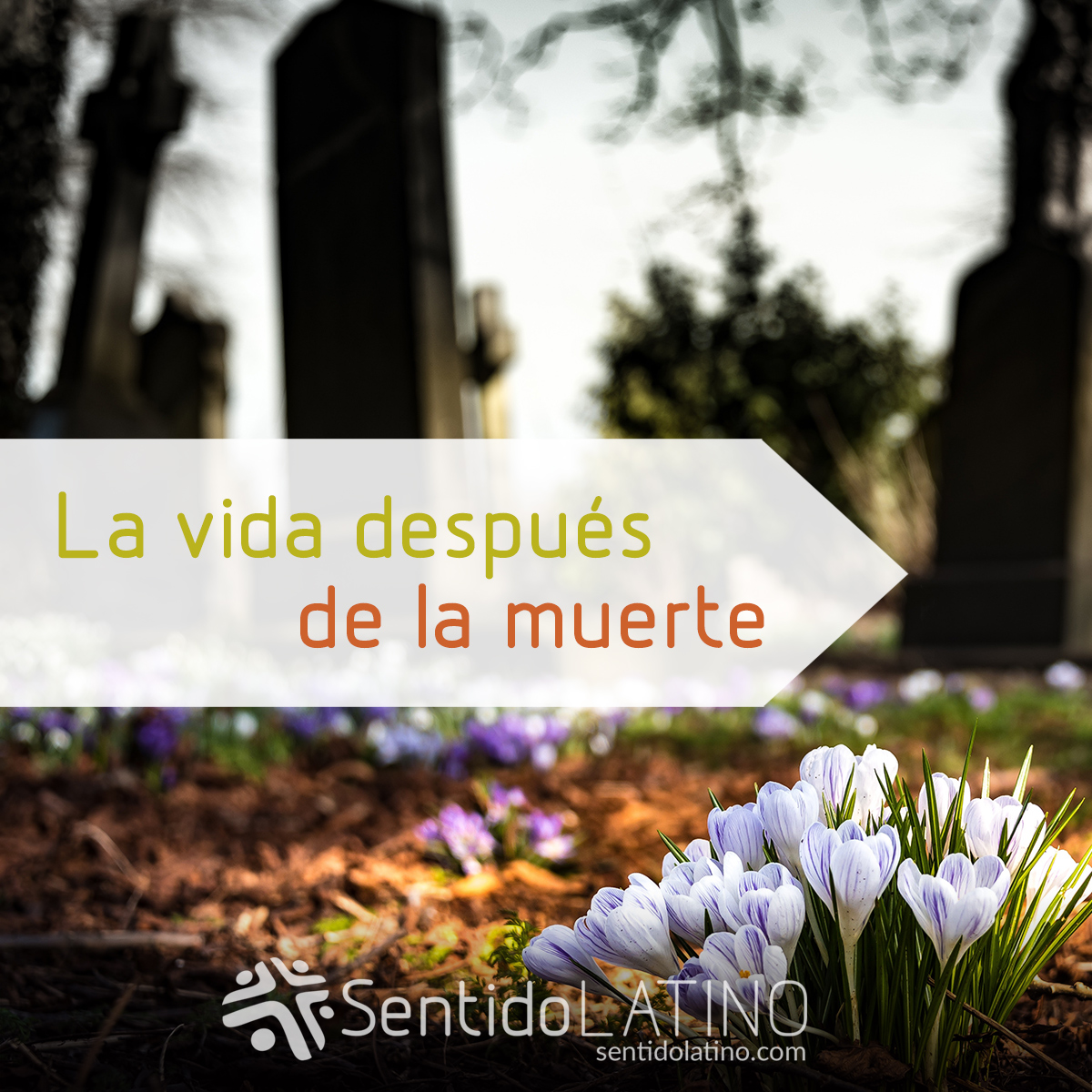 La vida después de la muerte Sentido Latino