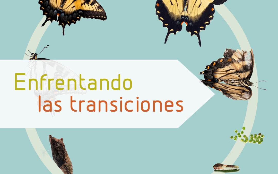 Enfrentando las transiciones