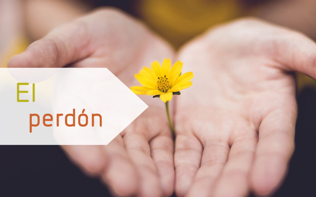 El perdón