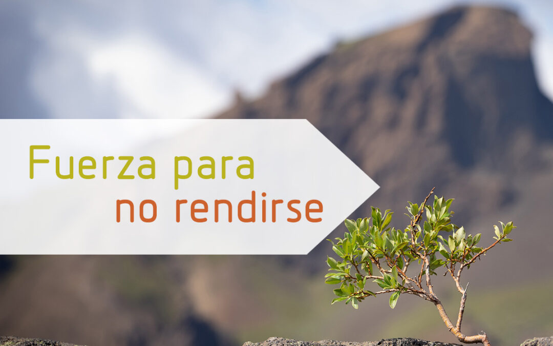 Fuerza para no rendirse