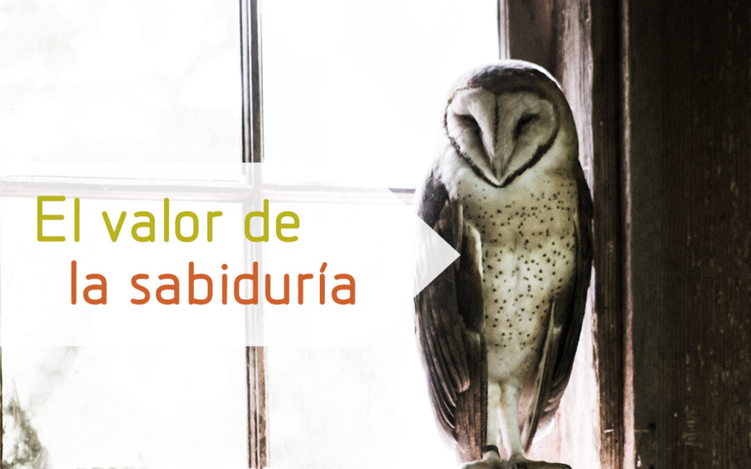El valor de la sabiduría