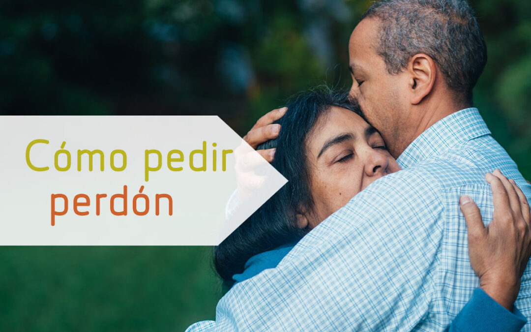 Cómo pedir perdón