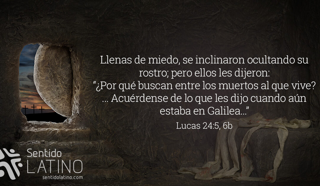 Tu vida en Sus manos