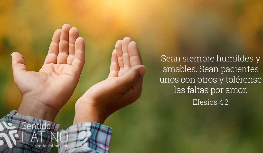 Unidos por amor