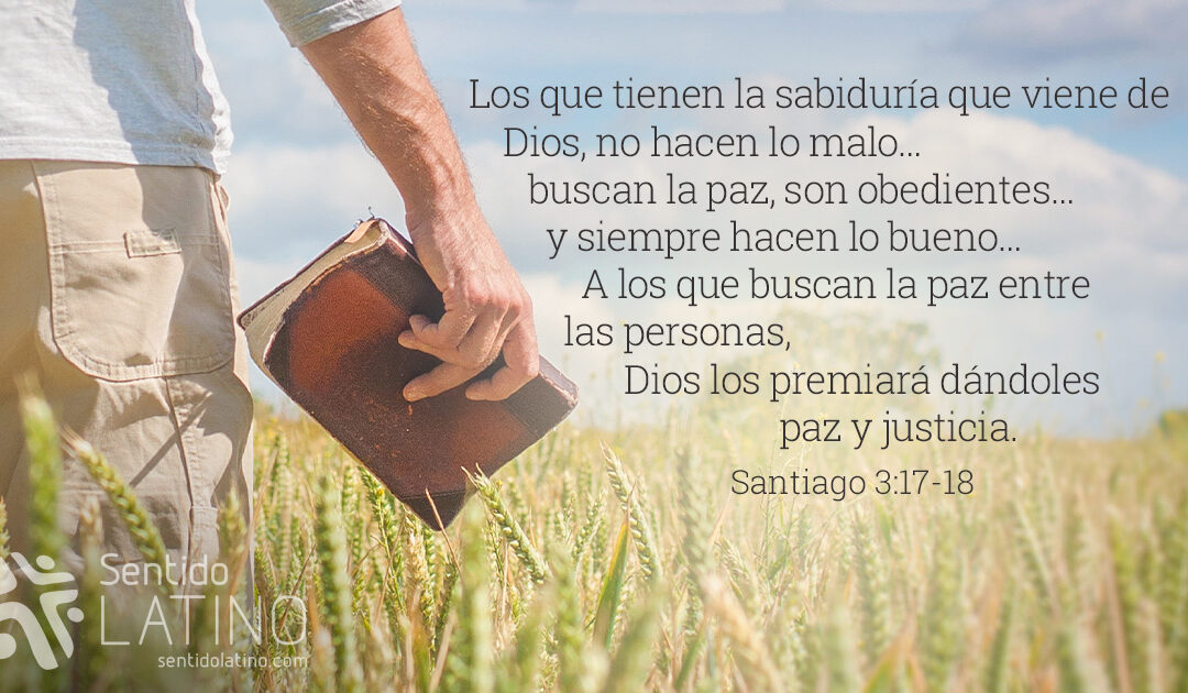 Busca la paz