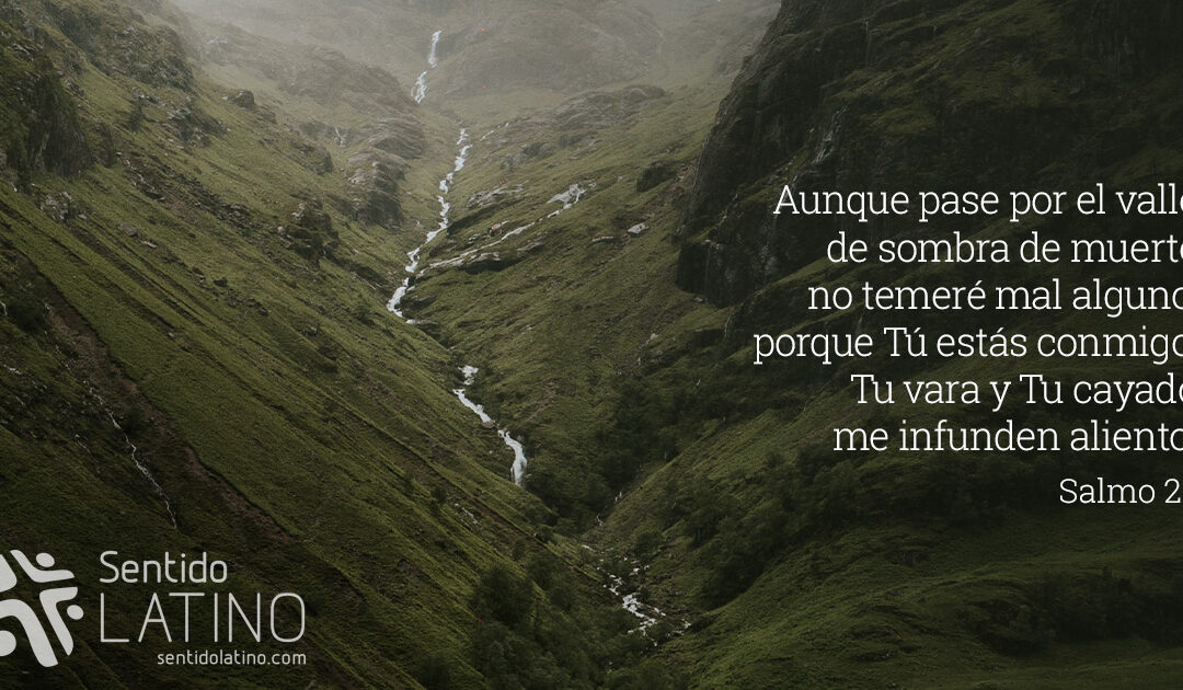 No temas