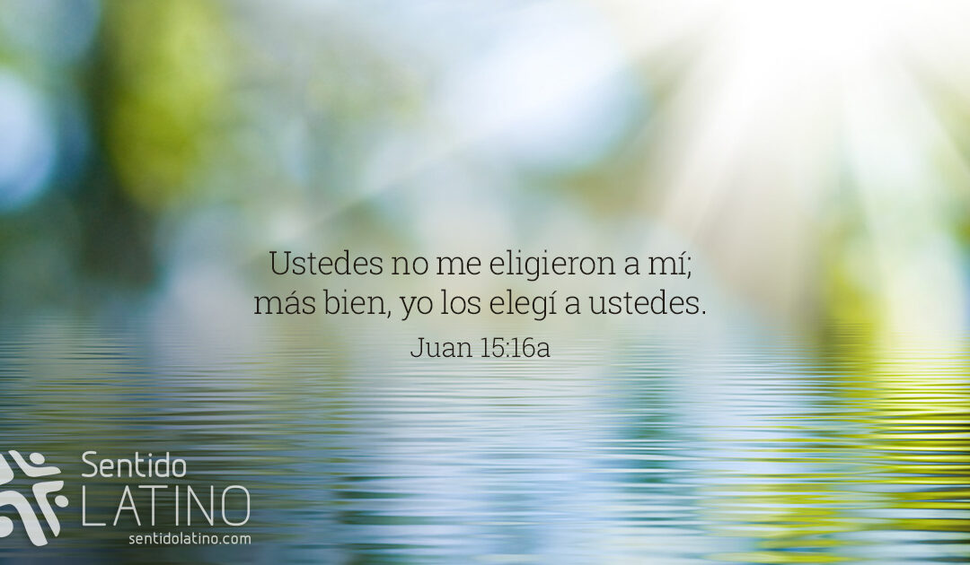 Elegido por Dios