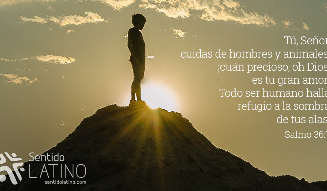 Expresiones de cariño