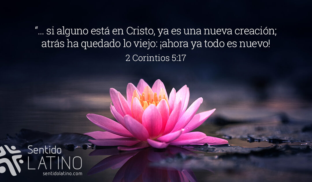 Todo es nuevo
