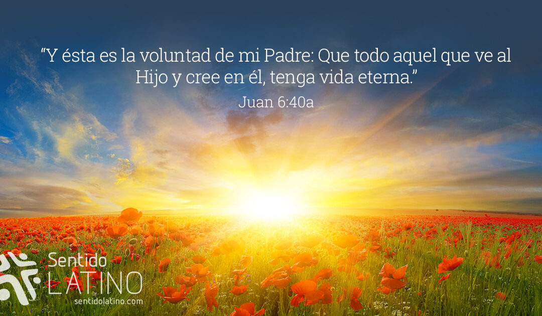 Que se haga tu voluntad