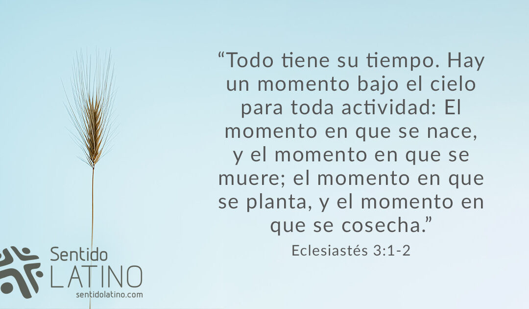 Todo tiene su tiempo