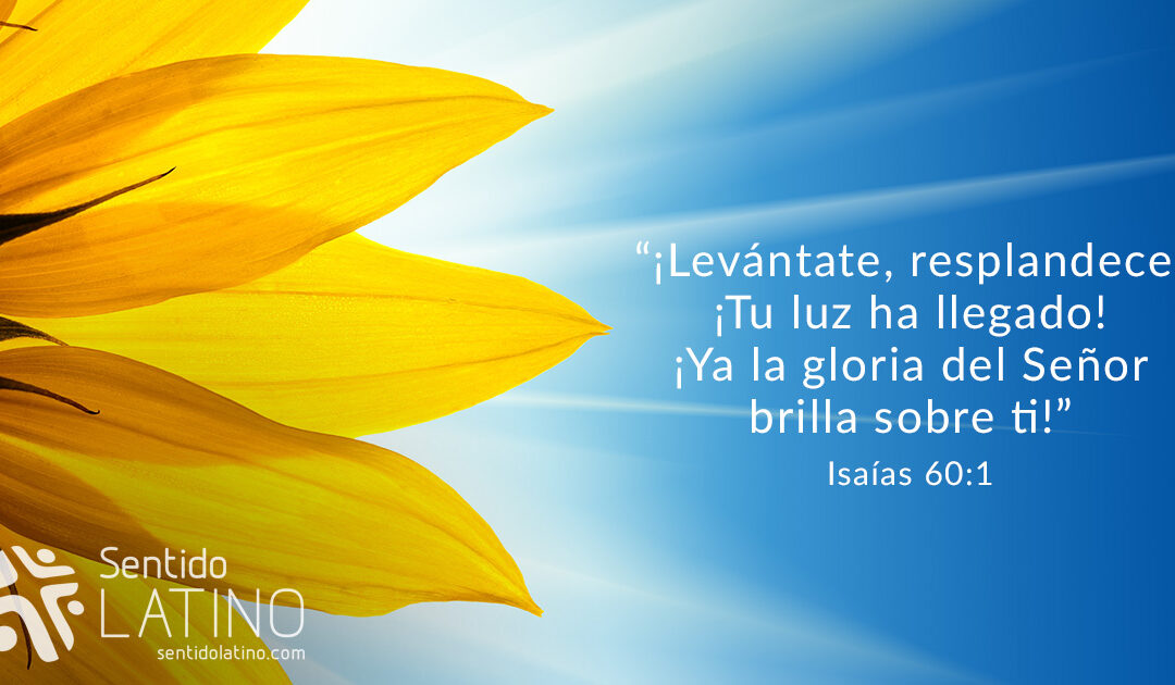 Levántate