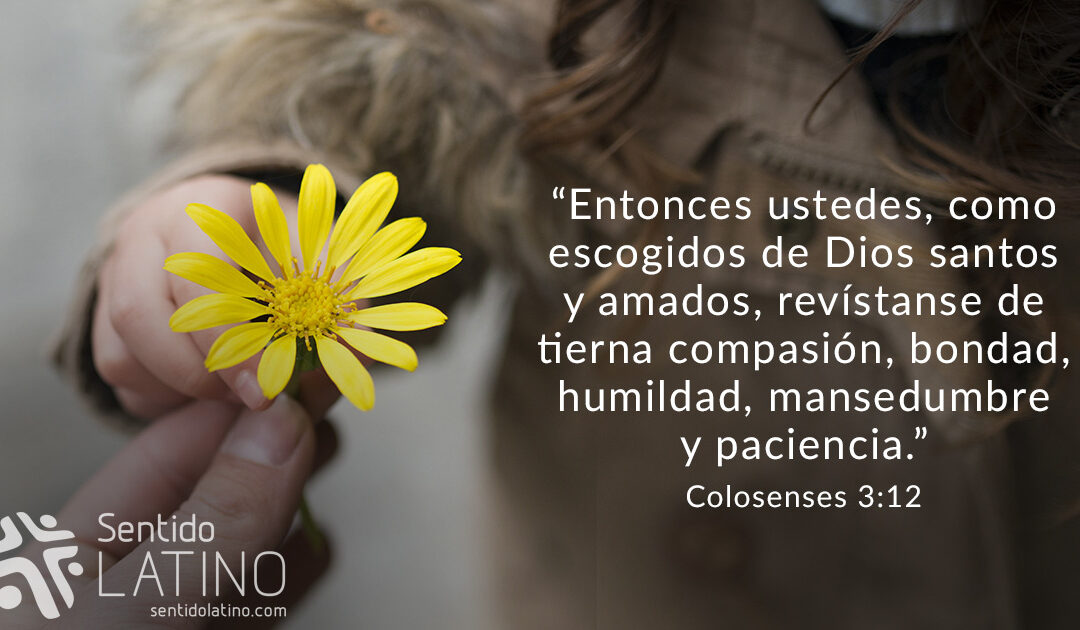 Como escogidos de Dios