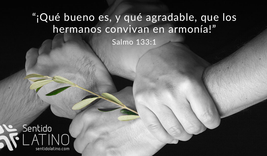 Vivir en armonía