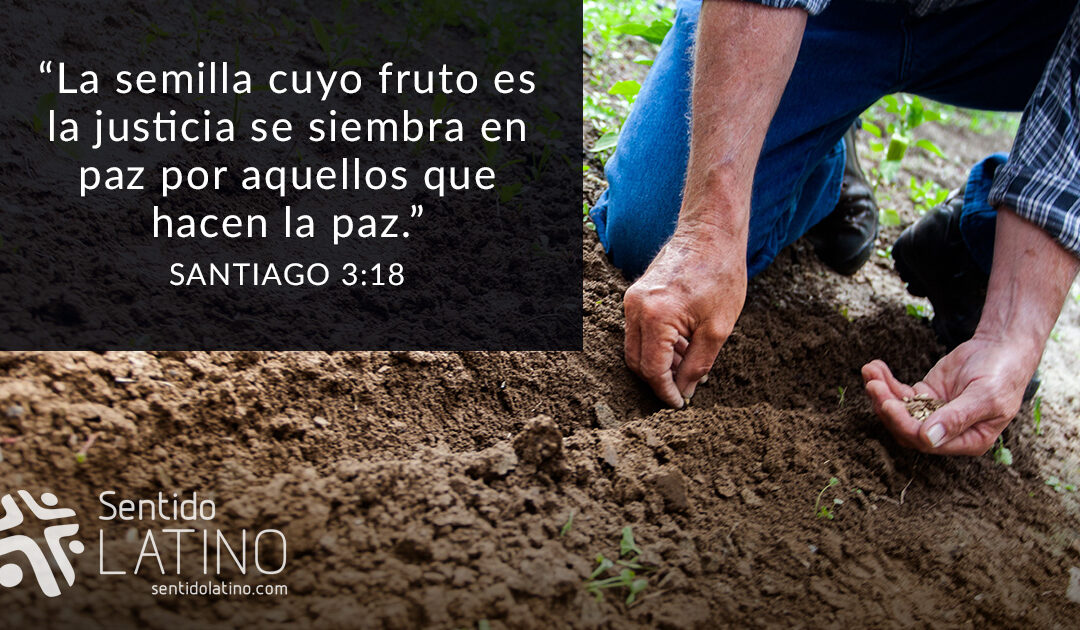 Instrumento de paz
