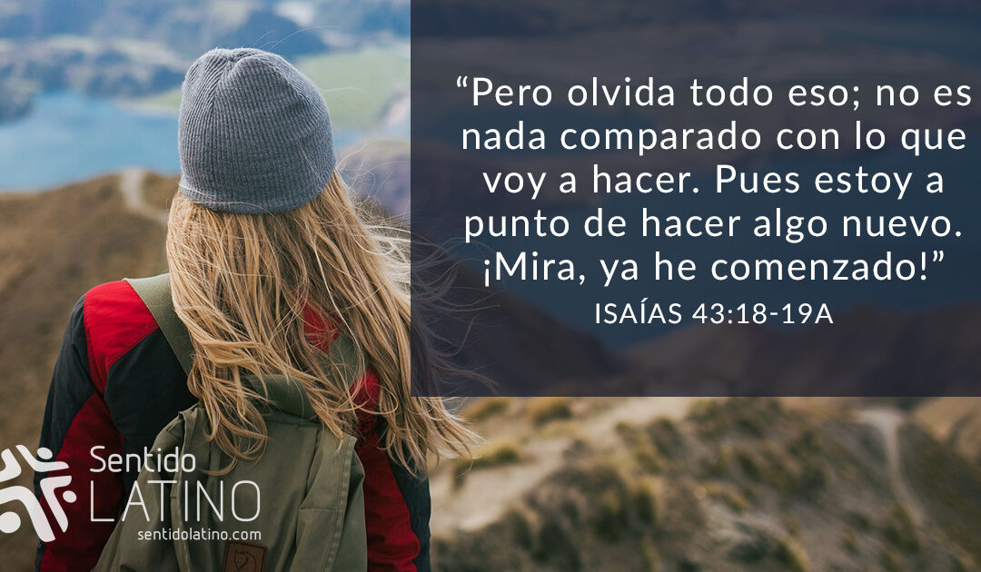 Todo lo hace nuevo