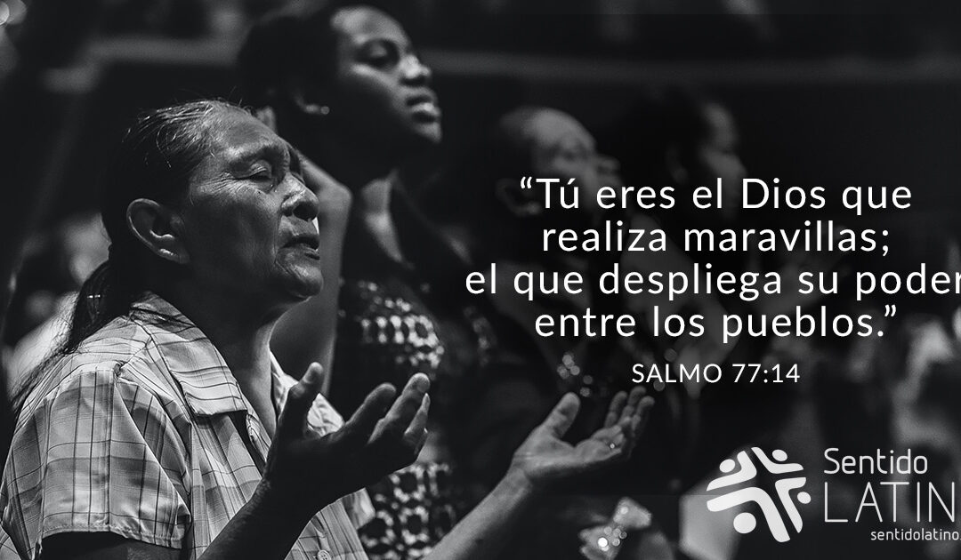 Dios es tu amparo