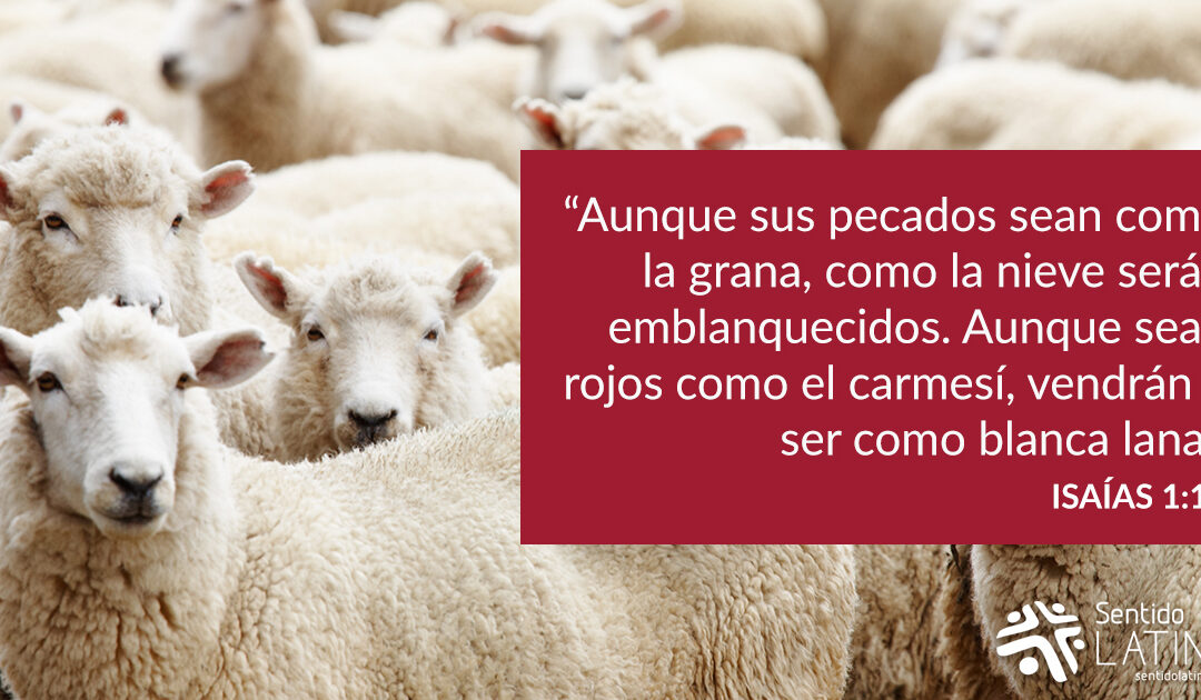 Perdonados