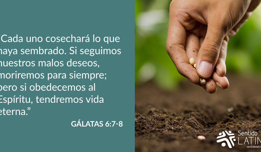 ¿Qué estás sembrando?