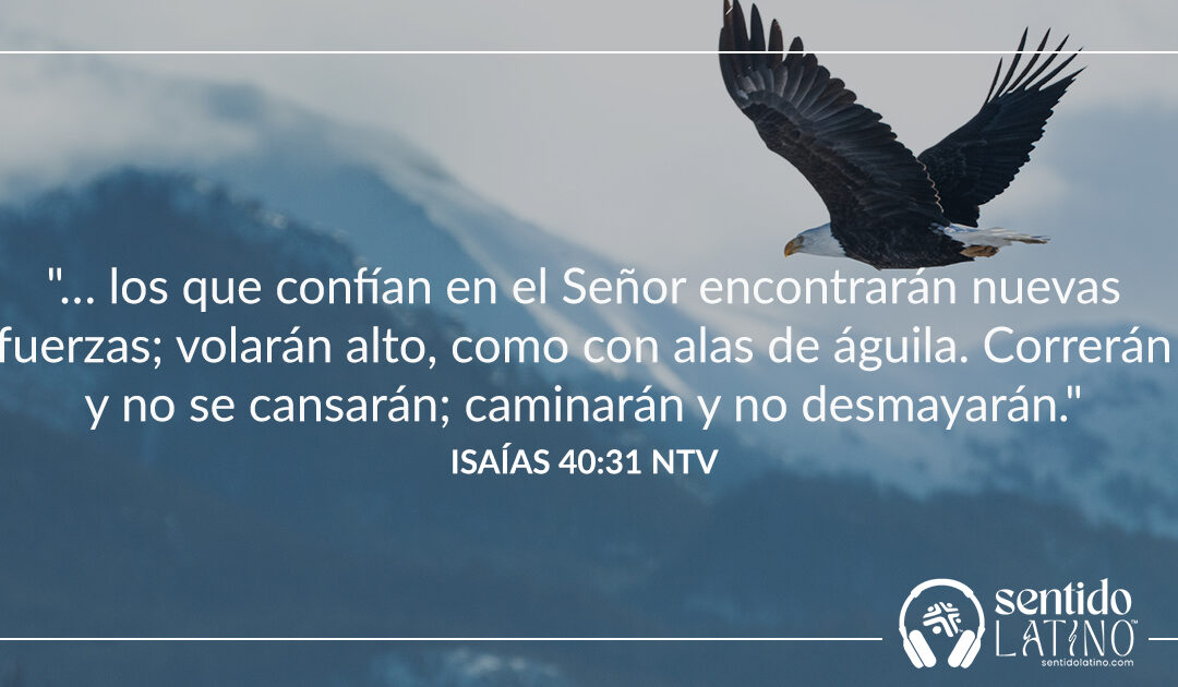 Fortaleza en Dios