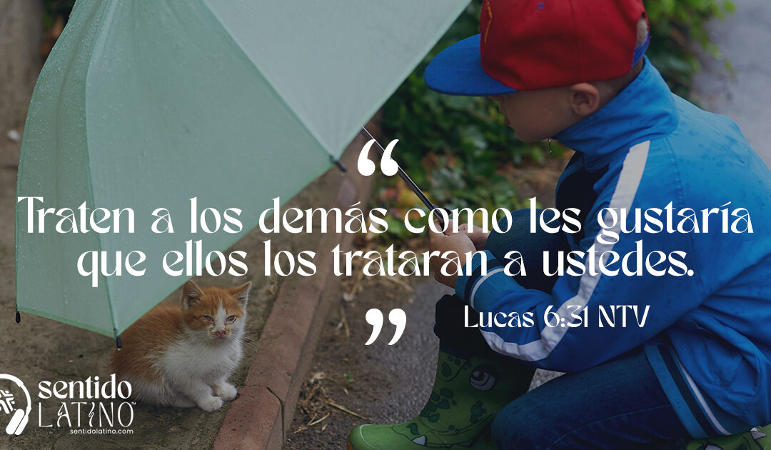 La fidelidad