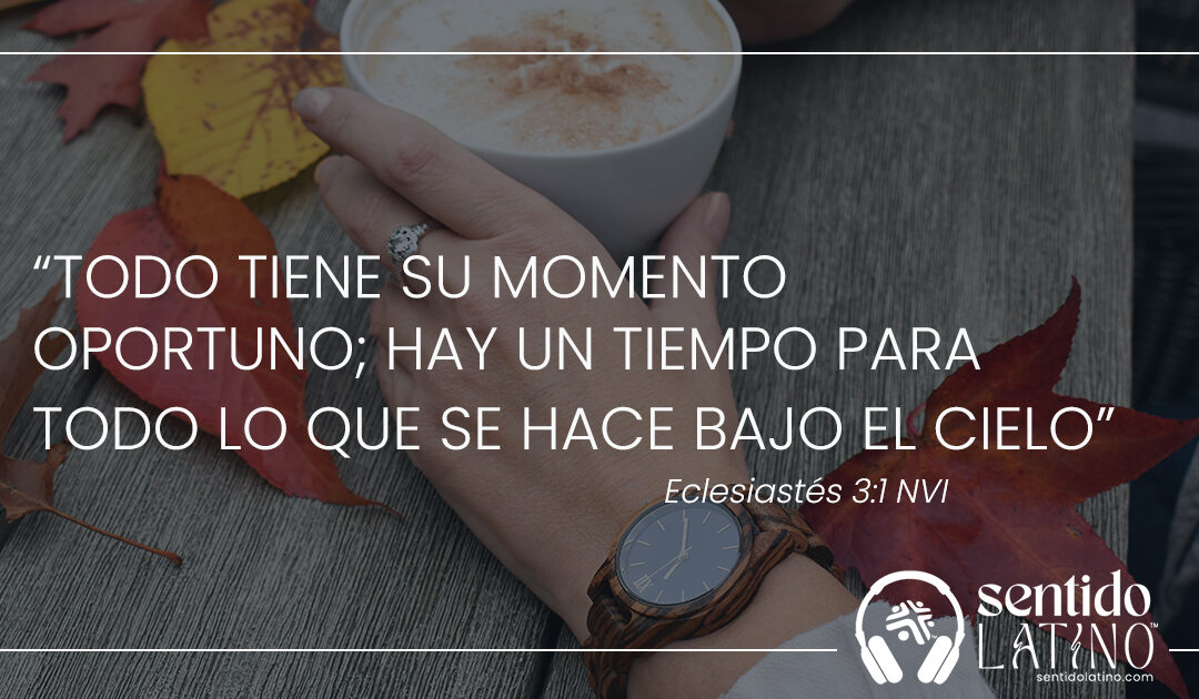 Todo a su tiempo