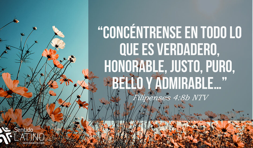 En la imagen de Cristo