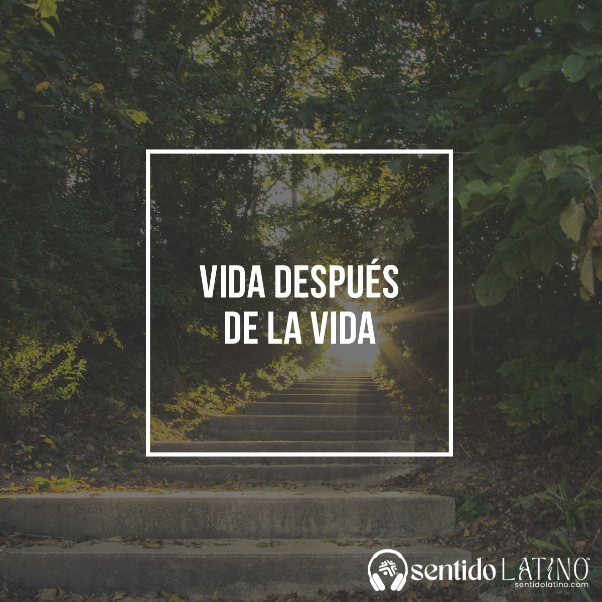 Vida después de la vida